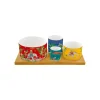 Ethnique|Services De Table En Porcelaine​>Easy Life Ensemble apéritif avec 4 bols MARAJAH