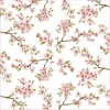 Nature|Services De Table En Porcelaine​>Easy Life Paquet de 20 serviettes SAKURA