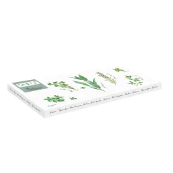 Quotidienne|Services De Table En Porcelaine​>Easy Life Plateau rectangulaire de service en porcelaine, dimensions 36×15,5 cm HERBARIUM